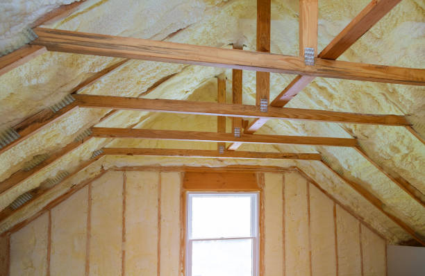 Best Cellulose Insulation in Rden City, GA