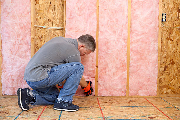 Best Insulation for Specific Applications in Rden City, GA